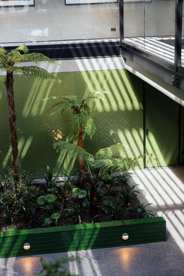 Ebb-דנידין מראה חיצוני תמונה The interior of the conservatory